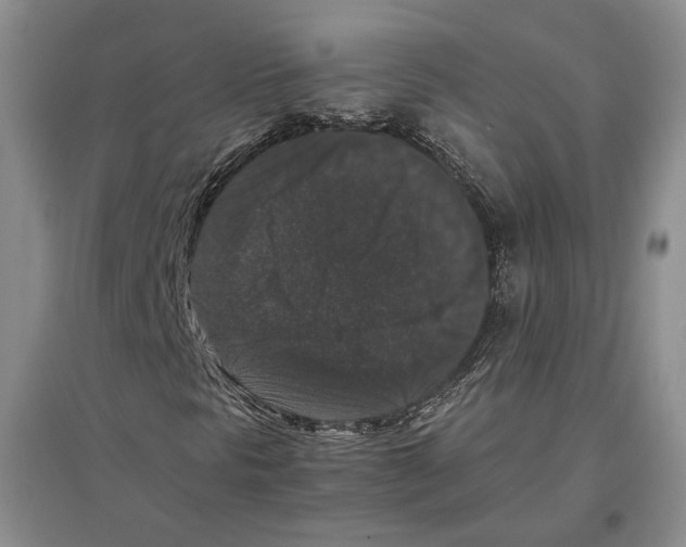 X0000097301297200803141523