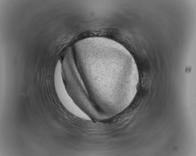 X0000097301298200803141523