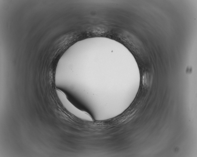 X0000097301299200803141523