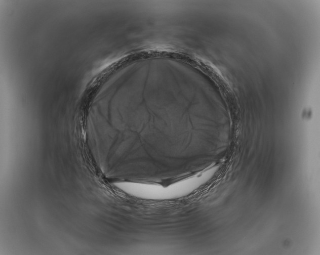 X0000097301303200803141523