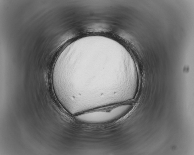 X0000097301305200803141523