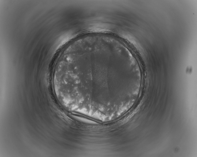 X0000097301306200803141523