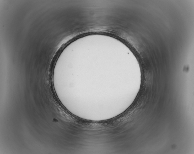 X0000097301308200803141523