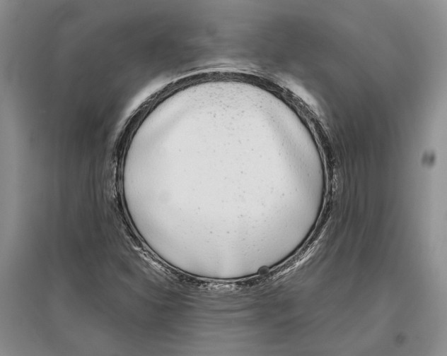 X0000097301310200803141523
