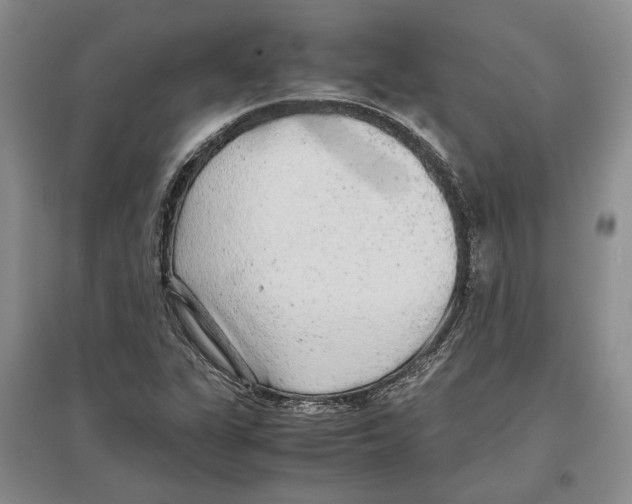 X0000097301311200803141523