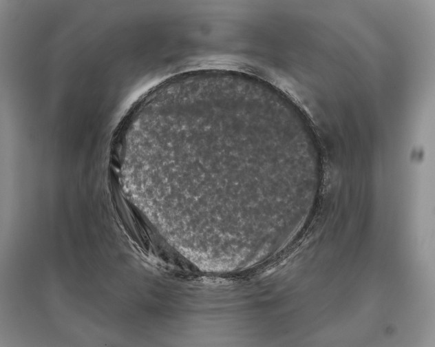 X0000097301312200803141523