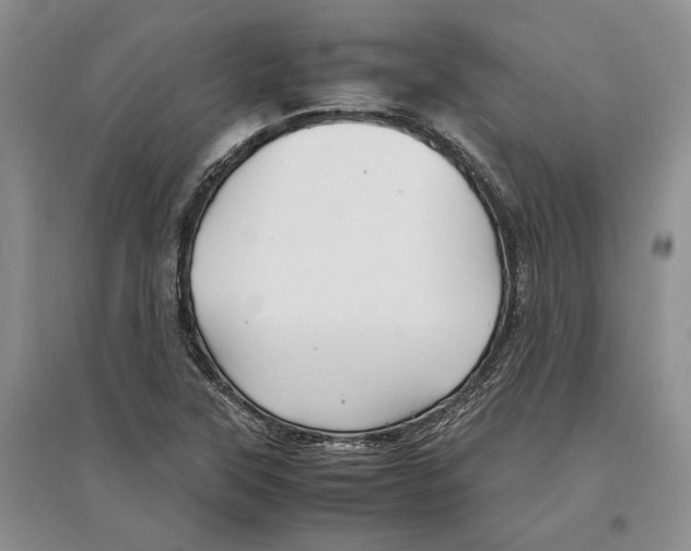 X0000097301315200803141524