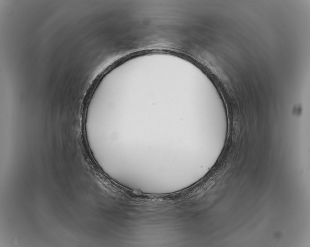 X0000097301316200803141524