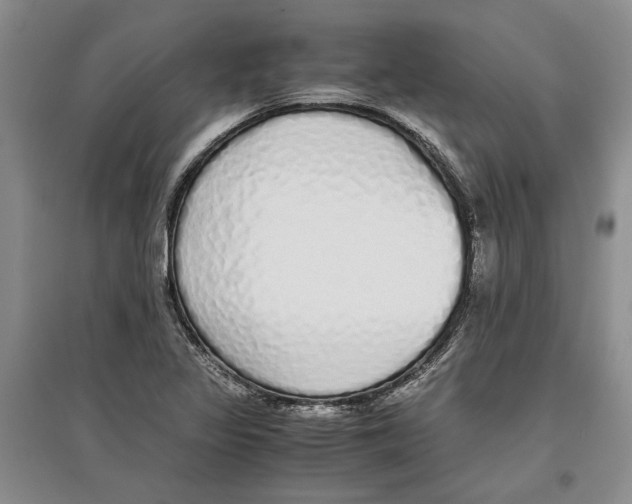 X0000097301317200803141524