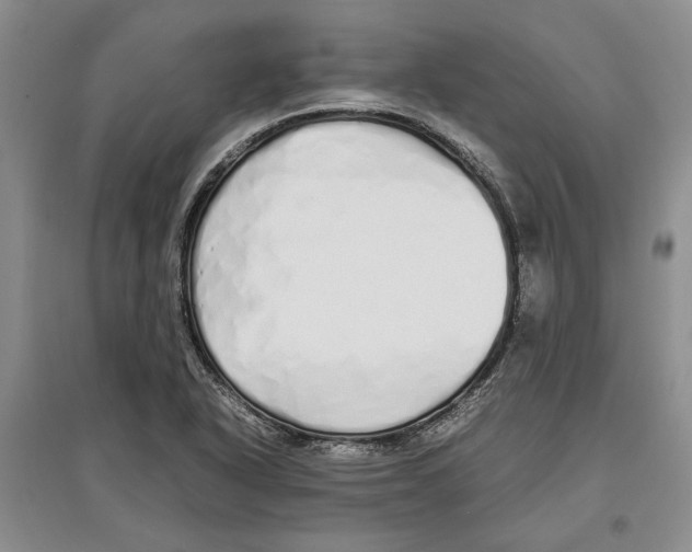 X0000097301318200803141524