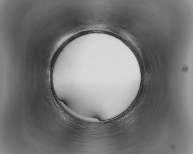 X0000097301320200803141524