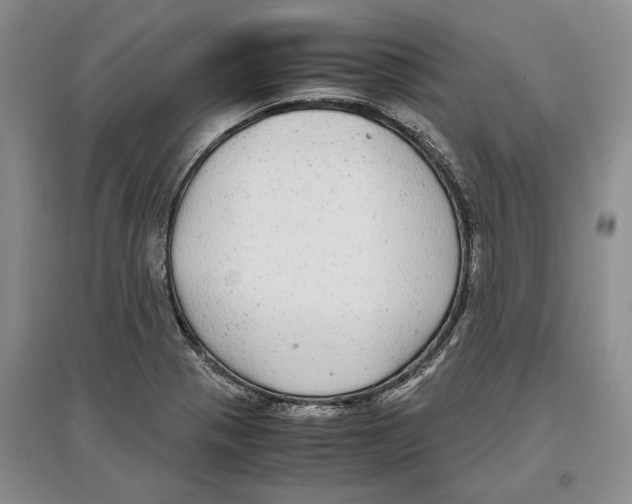 X0000097301321200803141524