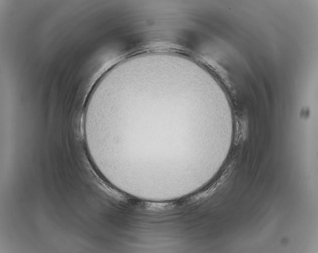 X0000097301322200803141524