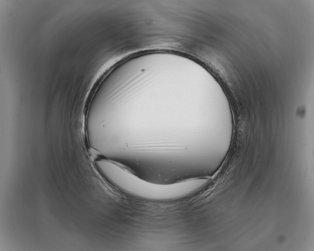 X0000097301324200803141524