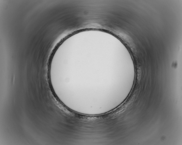 X0000097301326200803141524