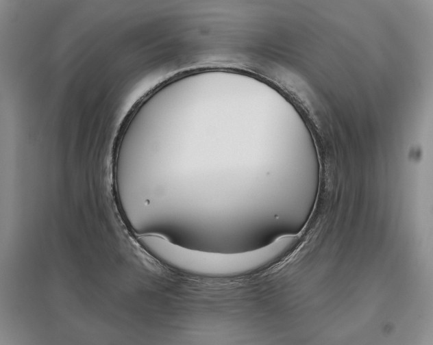 X0000097301328200803141524