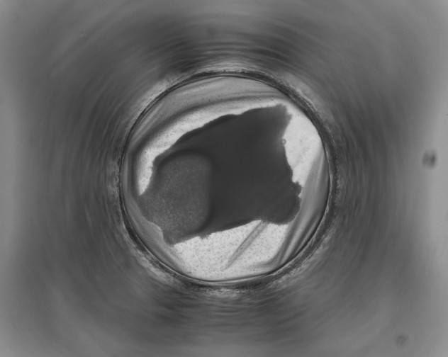 X0000097301329200803141524
