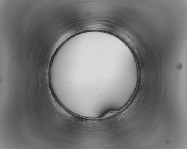 X0000097301330200803141524