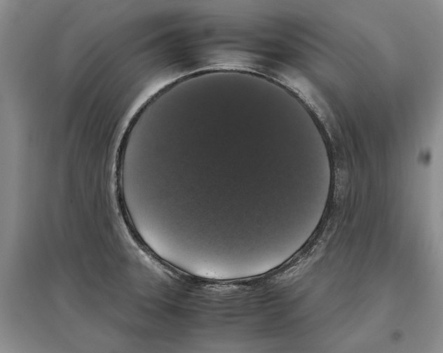 X0000097301331200803141524
