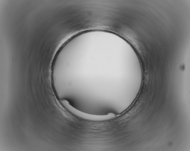 X0000097301332200803141524