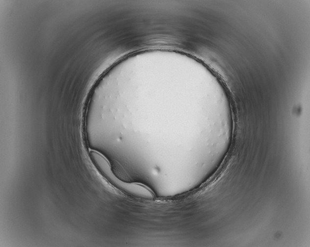 X0000097301333200803141524