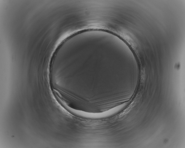X0000097301334200803141524