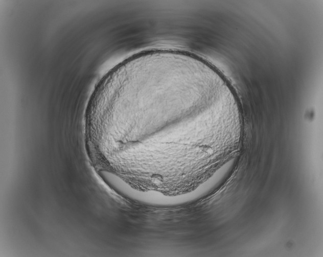 X0000097301335200803141524