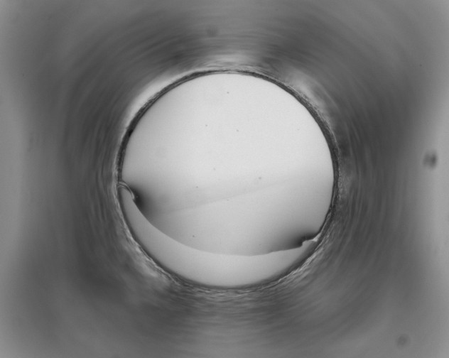 X0000097301336200803141524