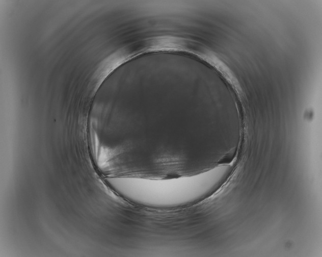 X0000097301337200803141524