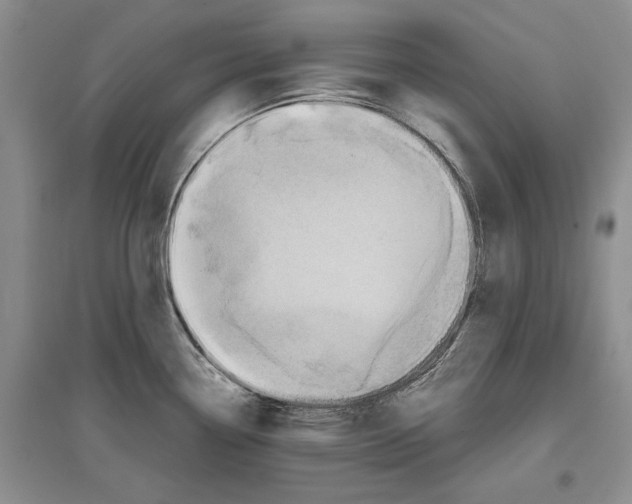 X0000097301338200803141524
