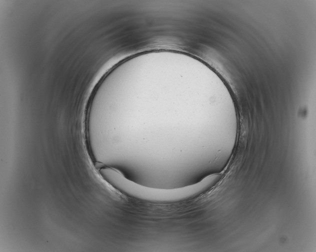 X0000097301339200803141524