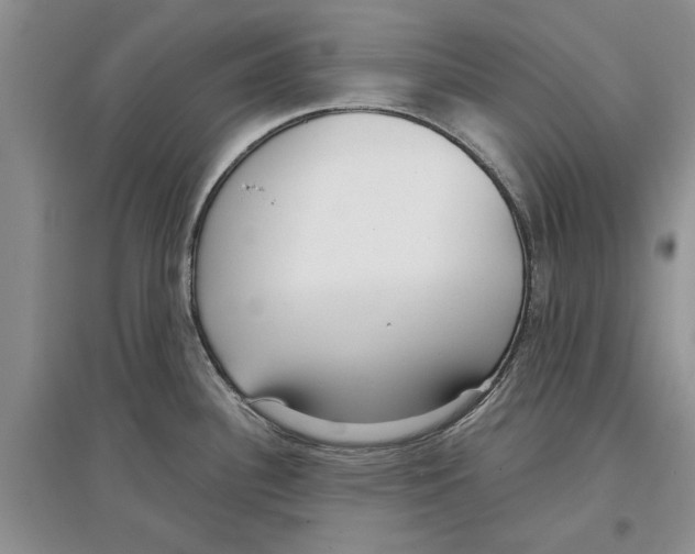 X0000097301340200803141524