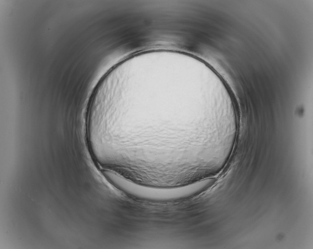 X0000097301341200803141524
