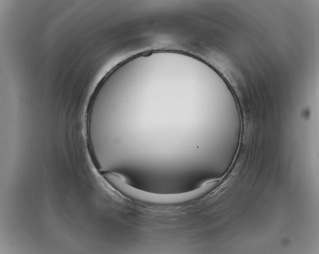 X0000097301342200803141524