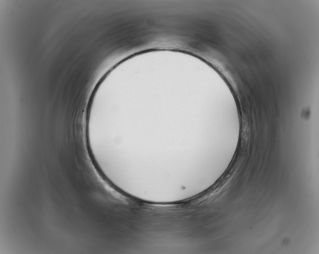 X0000097301343200803141524