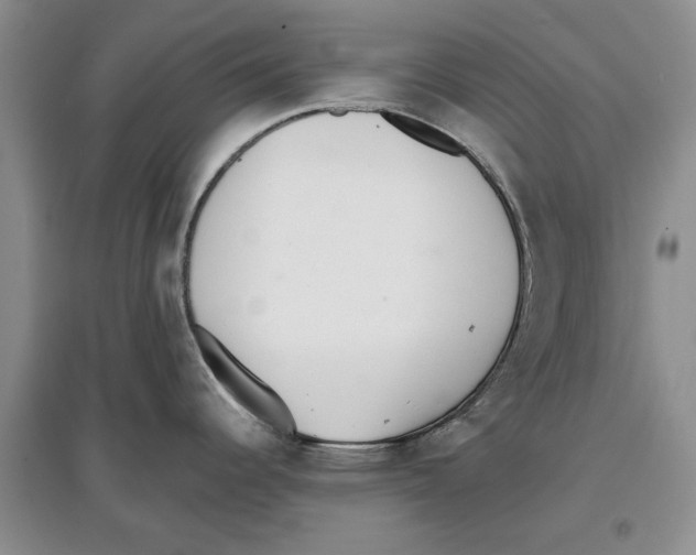 X0000097301344200803141524