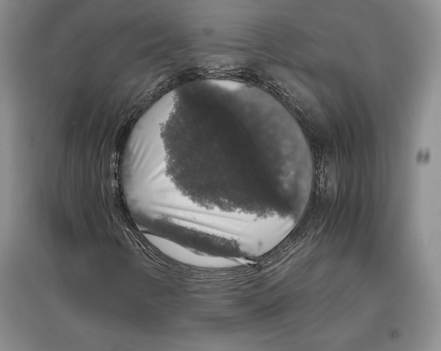 X0000097301346200803141523