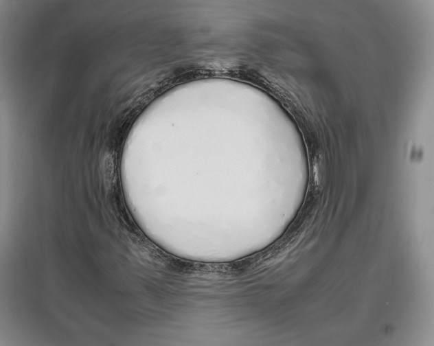 X0000097301347200803141523