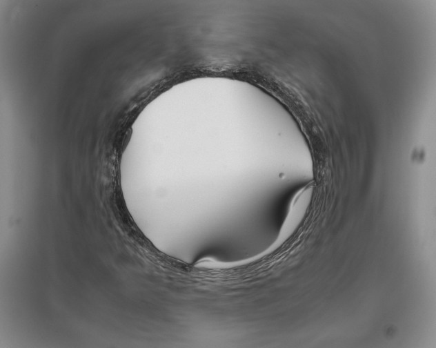 X0000097301349200803141523