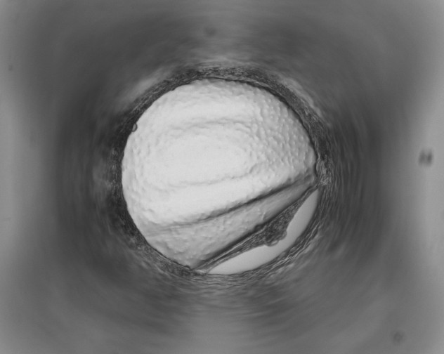 X0000097301350200803141523