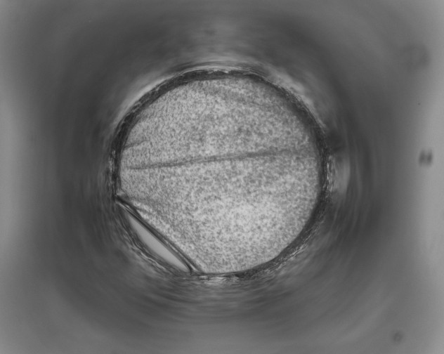 X0000097301352200803141523