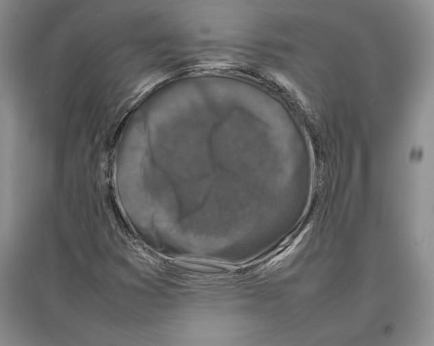 X0000097301353200803141523