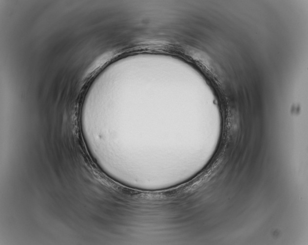 X0000097301354200803141523