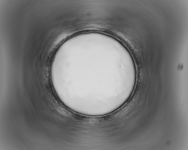 X0000097301355200803141523