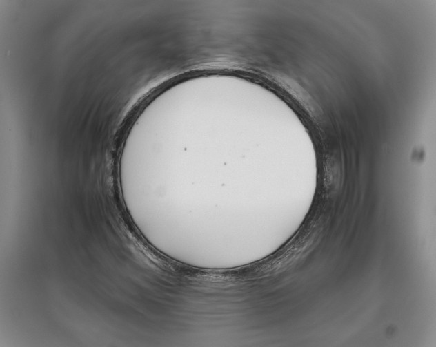 X0000097301356200803141523