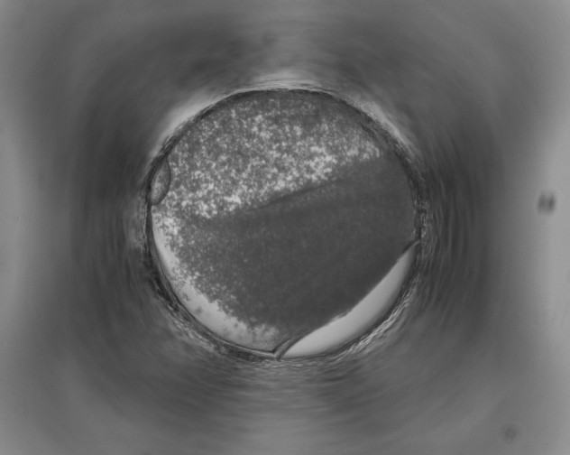 X0000097301358200803141523
