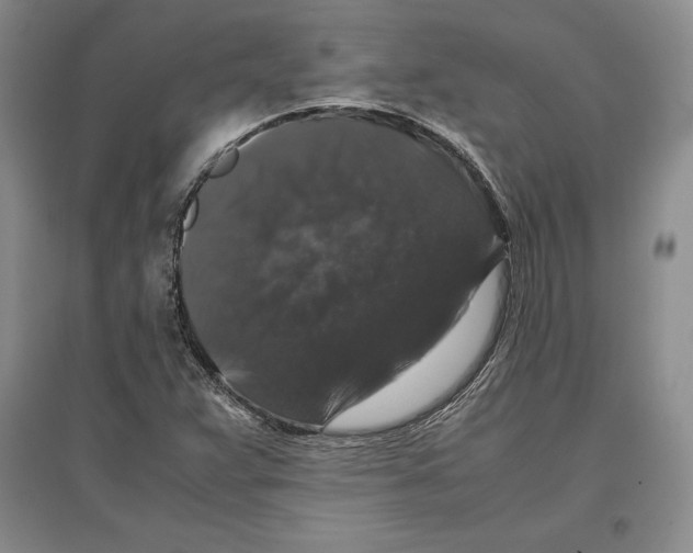 X0000097301359200803141523