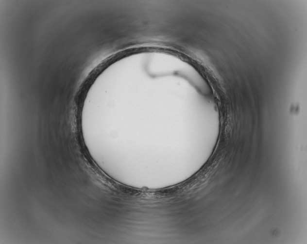 X0000097301360200803141523