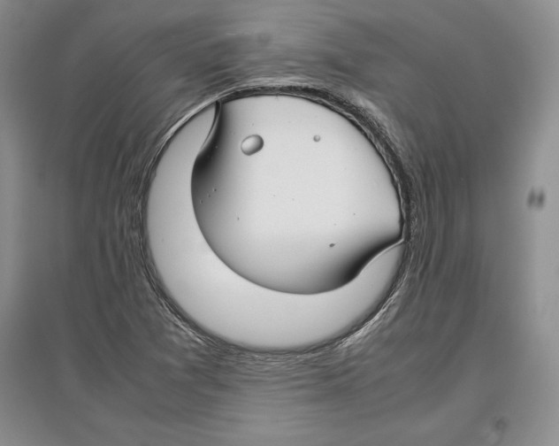 X0000097301361200803141523