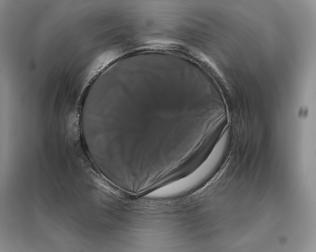 X0000097301362200803141523